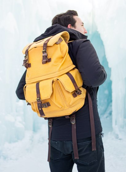 Brown dog travel bag